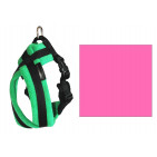 10SFH2PINK